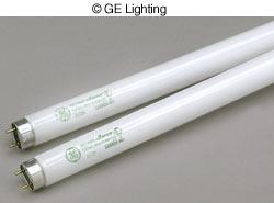 Fluorescent Bulbs