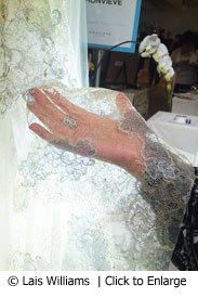 Monvieve veil