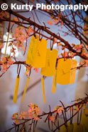 escort cards