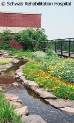 Green roof Scwab hospital