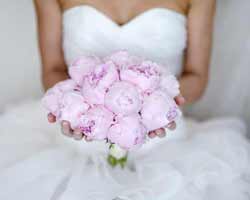 Wedding Tip Wednesday: Dress Shopping